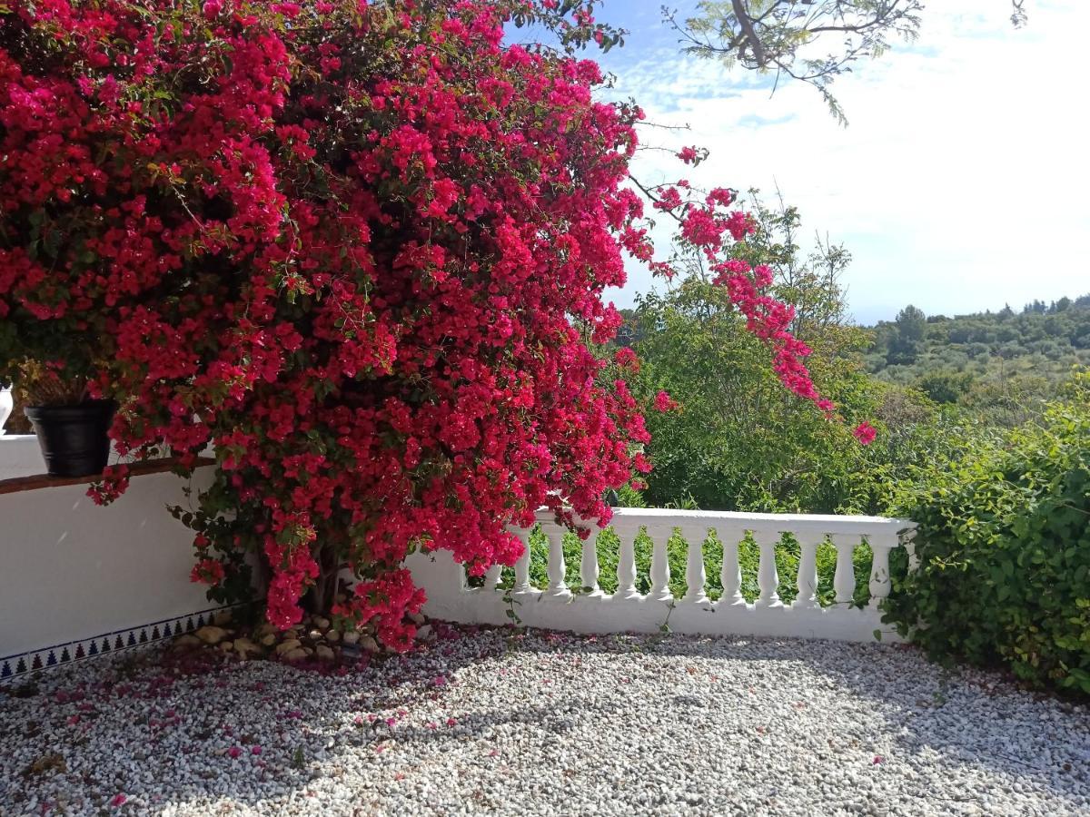 Finca Rayo Del Sol Alhaurín el Grande Zewnętrze zdjęcie