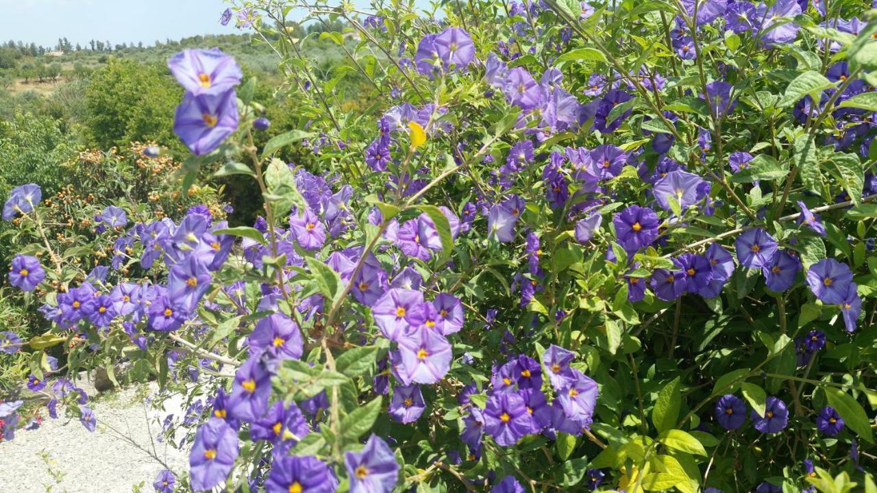 Finca Rayo Del Sol Alhaurín el Grande Zewnętrze zdjęcie